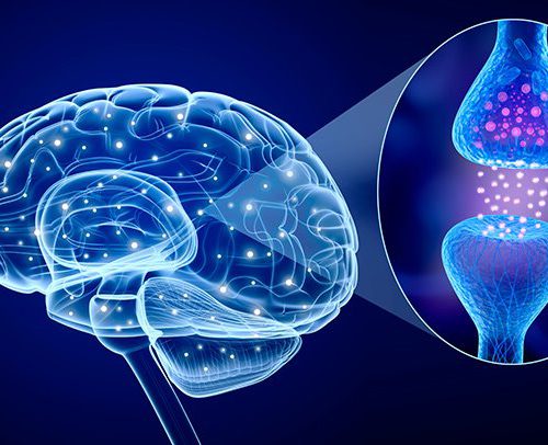 Jak serotonina równoważy komunikację neuronów naszego mózgu
